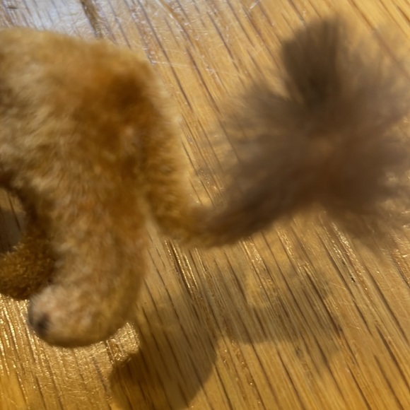 Kuntslershutz Lion - Picture 3 of 4